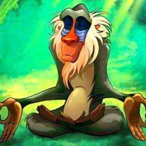 Meet your Posher, Todd